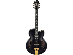Ibanez PM20 Pat Metheny Signature image 3