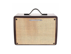 Ibanez T30II Troubadour 1x8" 30-Watt Acoustic Guitar Combo image 2