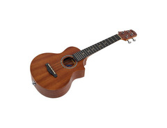 Ibanez UEW5E EW Concert Ukulele image 3