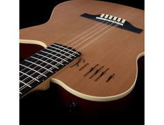 Godin A12 12-String Semi-Acoustic image 4