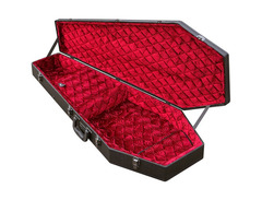 Coffin Cases image 2