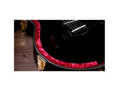 Taylor T5 PRO image 4
