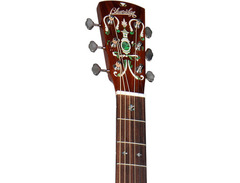 Blueridge BR-163 image 3