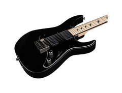 Caparison JSM, Joel Stroetzel Signature Model image 3