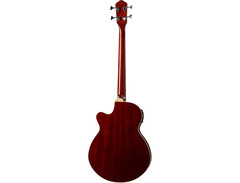 Oscar Schmidt OB100 Acoustic/Electric Bass image 2