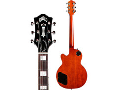 Guild Bluesbird image 2