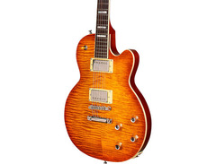 Guild Bluesbird image 3
