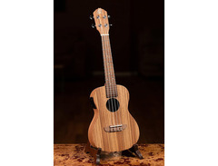 Ortega RFU11ZE image 4