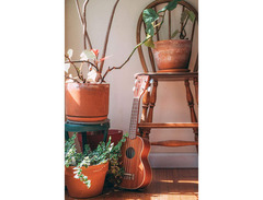 Kala KA-S Soprano Mahogany Ukulele image 4