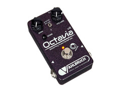 Valbruch Octavia image 3