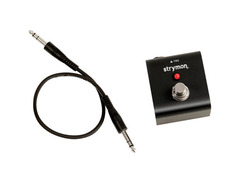 Strymon Tap Effects Pedal image 4