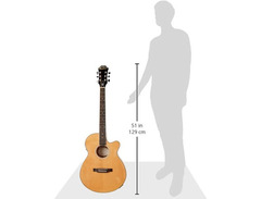 Epiphone PR-4E image 3