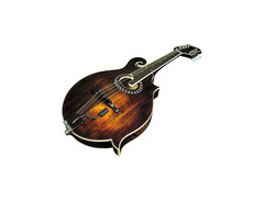L.R. Baggs Radius Pickup image 2
