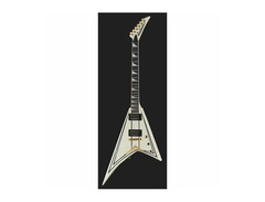 RRTMG PRO SERIES RHOADS image 2