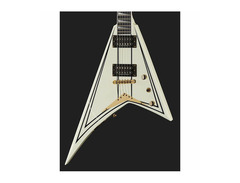 RRTMG PRO SERIES RHOADS image 4
