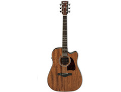 Ibanez Artwood AW54CE image 2