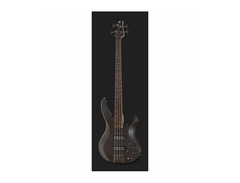 Yamaha TRBX504 image 2