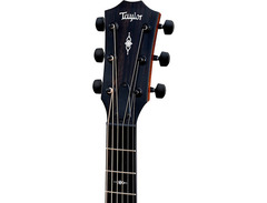 Taylor 322e Grand Concert image 3