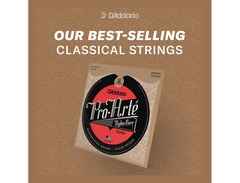 D'Addario Pro Arté EJ46LP strings with lightly polished composite bass strings. image 3