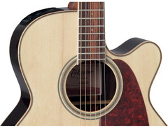 Takamine GD93CE image 2