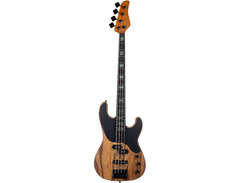 Schecter Model T image 3