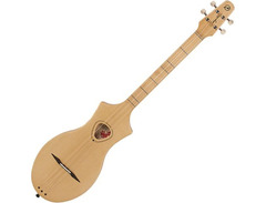 Seagull Merlin Dulcimer image 3