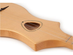 Seagull Merlin Dulcimer image 4