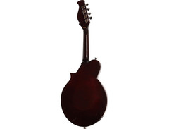 Kentucky Mandolins KM-300E image 2
