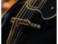 Washburn M1S Mandolin image 2