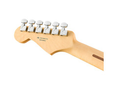Fender Stratocaster WS image 4