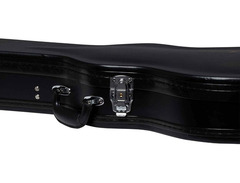 Epiphone Les Paul Standard Hard Case image 4
