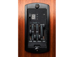 Taylor GS Mini-e RW image 4