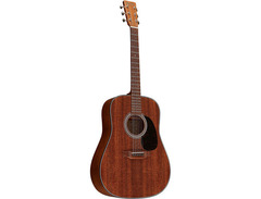 Martin D-19 190th Anniversary image 3