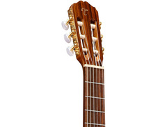 Takamine GC5CE Classical Electric image 3