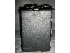 Washburn Bad Dog BD8 image 2