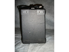 Washburn Bad Dog BD8 image 4
