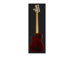 Godin A5 Fretless Bass image 3