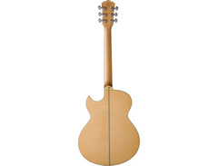 Washburn EA-20 Acoustic Guitar image 2