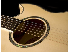 Washburn EA-20 Acoustic Guitar image 3