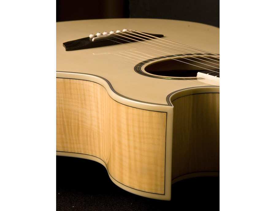 Washburn EA-20 Acoustic Guitar - What To Know & Where To Buy