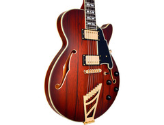 D'Angelico Deluxe SS image 3