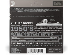 D'Addario EPN110 Pure Nickel, Regular Light 10-45 image 2