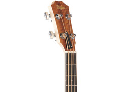 Taylor GS Mini-e Bass image 4