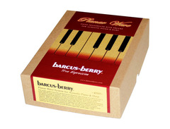 Barcus Berry Piano & Harp Planar Wave System 4000 image 2