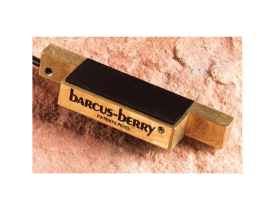Barcus Berry Piano & Harp Planar Wave System 4000 - What To Know