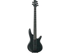 Ibanez Gary Willis Signature Five-String Electric Bass Guitar image 3
