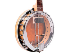 Gold Tone GT-750: Banjitar Deluxe image 3