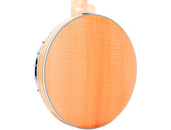 Gold Tone GT-750: Banjitar Deluxe image 4