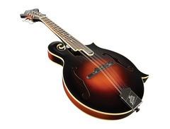 The Loar LM-520 image 4