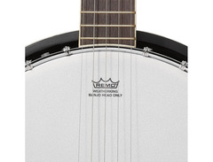 R.W. Jameson 5-String Banjo image 3